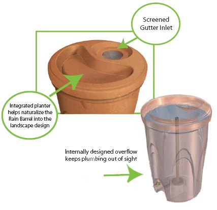 Rain Barrel