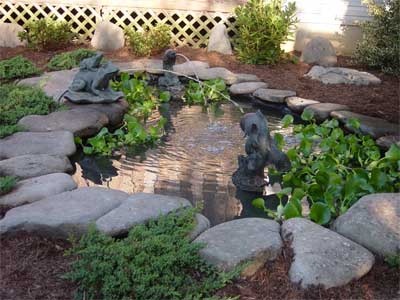 completed pond