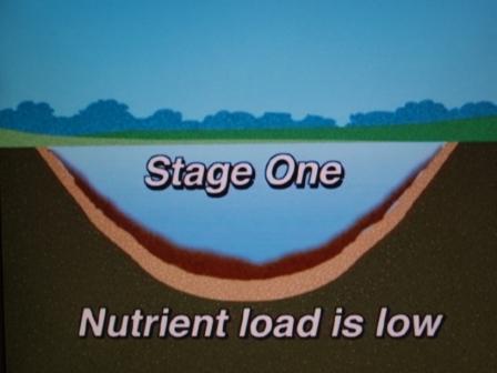 stage 1