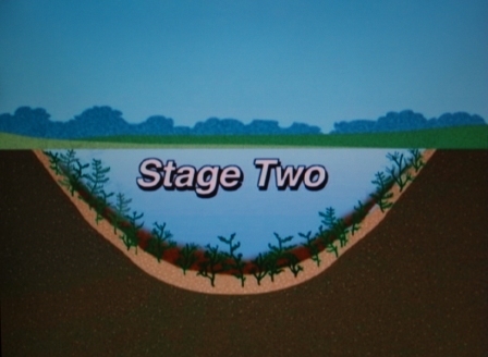 stage 2