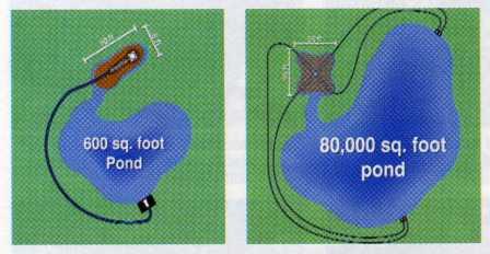 wetlands graphic2