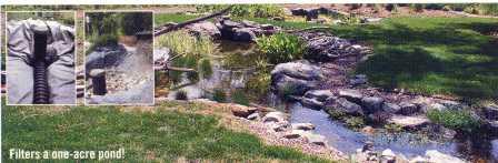 Wetlands photo
