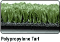 Poly Turf